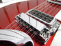 Rickenbacker 620/12 , Ruby: Close up - Free