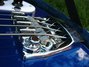 Rickenbacker 4003/4 , Midnightblue: Free image