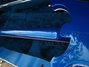 Rickenbacker 4003/4 , Midnightblue: Neck - Rear