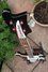 Rickenbacker 4001/4 , Jetglo: Neck - Front