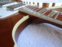 Rickenbacker 481/6 , Autumnglo: Neck - Front