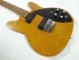 Rickenbacker 430/6 BT, Brown: Full Instrument - Front