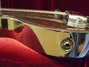 Rickenbacker NS 100/6 LapSteel, Silver: Free image