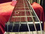 Rickenbacker NS 100/6 LapSteel, Silver: Neck - Front