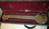 Rickenbacker A22/6 LapSteel, Aluminum: Full Instrument - Front