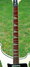 Rickenbacker 481/6 Slant Fret, White: Neck - Front