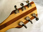 Rickenbacker 360/6 , Mapleglo: Headstock - Rear
