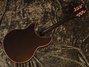 Rickenbacker 360/12 V64, Jetglo: Full Instrument - Rear