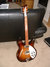 Rickenbacker 330/6 , MonteBrown: Neck - Front