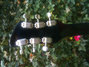 Rickenbacker 365/6 , Jetglo: Headstock - Rear