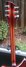 Rickenbacker 360/6 , Fireglo: Neck - Rear