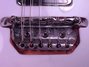 Rickenbacker 450/12 , Fireglo: Close up - Free