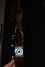 Rickenbacker 3001/4 BT, Walnut: Close up - Free