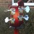 Rickenbacker 4003/4 , Fireglo: Free image2