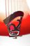 Rickenbacker 330/6 , Fireglo: Close up - Free