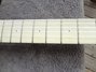 Rickenbacker 360/12 Tuxedo, White: Neck - Front