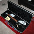 Rickenbacker 330/6 , Jetglo: Free image