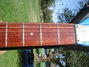 Rickenbacker 330/12 , Midnightblue: Full Instrument - Rear