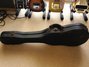 Rickenbacker NS 100/6 LapSteel, Silver: Close up - Free