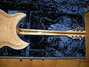 Rickenbacker 381/12 V69, Mapleglo: Full Instrument - Rear