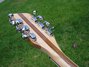 Rickenbacker 381/12 V69, Mapleglo: Headstock - Rear
