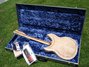Rickenbacker 381/12 V69, Mapleglo: Full Instrument - Rear