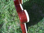 Rickenbacker 4001/4 Mod, Burgundy: Free image