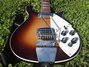 Rickenbacker 620/6 VB VP, MonteBrown: Body - Front