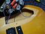 Rickenbacker 330/6 BH BT, Mapleglo: Free image