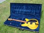 Rickenbacker 330/6 BH BT, Mapleglo: Full Instrument - Front