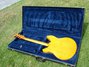Rickenbacker 330/6 BH BT, Mapleglo: Full Instrument - Rear