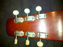 Rickenbacker 100/6 LapSteel, Burgundy: Headstock - Rear