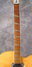 Rickenbacker 365/6 F, Mapleglo: Neck - Front