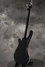 Rickenbacker 4003/4 , Jetglo: Full Instrument - Rear