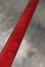 Rickenbacker 4003/4 , Burgundy: Neck - Rear