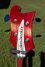 Rickenbacker 4003/4 , Fireglo: Headstock