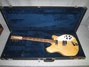 Rickenbacker 360/12 , Mapleglo: Full Instrument - Front
