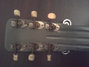 Rickenbacker NS/Post War/6 LapSteel, Gray: Headstock - Rear