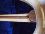 Rickenbacker 381/12 , Mapleglo: Full Instrument - Rear