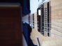 Rickenbacker 381/12 , Mapleglo: Close up - Free