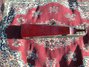 Rickenbacker 100/6 LapSteel, Red: Full Instrument - Rear