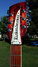 Rickenbacker 360/12 , Fireglo: Headstock
