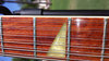 Rickenbacker 360/12 , Fireglo: Neck - Rear
