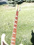Rickenbacker 4001/4 , Jetglo: Free image2