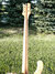Rickenbacker 4001/4 , Jetglo: Neck - Rear
