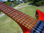 Rickenbacker 1996/6 f hole, Fireglo: Neck - Front