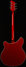 Rickenbacker 360/6 , Fireglo: Full Instrument - Rear