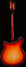 Rickenbacker 360/6 , Fireglo: Full Instrument - Rear
