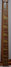 Rickenbacker 4001/4 , Burgundy: Neck - Front