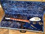 Rickenbacker 360/6 VP, Midnightblue: Free image